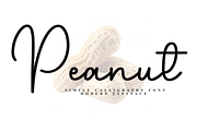 Peanut, a Handwritten Font by FreshTypeINK (Thumbnail 1 of 8)