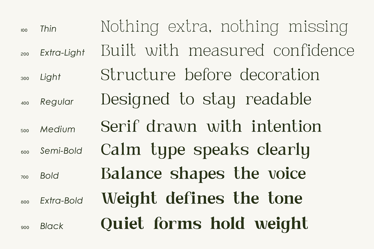 Novarick, a Serif Font by din-studio.com (Photo 7 of 16)