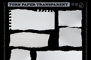Ripped Torn Paper Set PNG, a Texture Graphic by iHemalaya (Thumbnail 1 of 4)