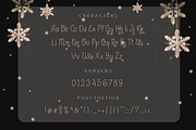 Shayfinton Decorative Monoline Fonts, a Serif Font by Patria Ari (P4tcreativa) (Thumbnail 7 of 9)