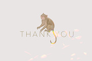 Jungle Book clipart and patterns, an Object Graphic by mila_leev (Thumbnail 17 of 17)