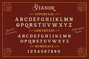Vianor, a Font by Larin Type Co. (Thumbnail 7 of 9)