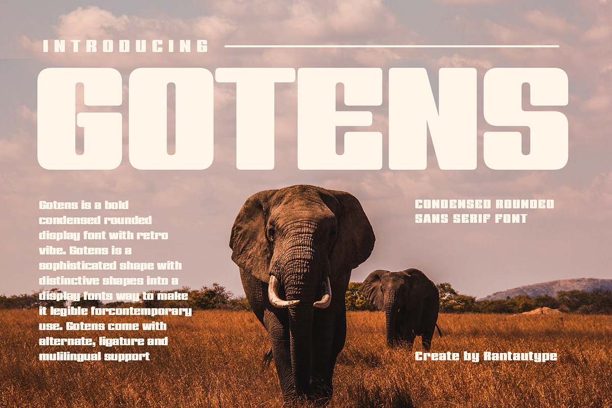 Gotens Bold Condensed Font, a Sans Serif Font by RantautypeStudio (Photo 1 of 15)