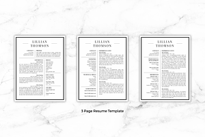 Professional Resume/CV - Lillian