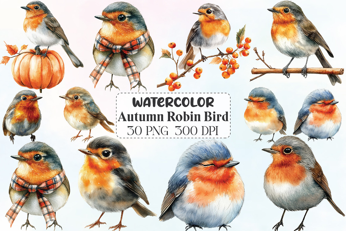 Autumn Robin Bird Clipart, an Illustration by CraftArtStudio (Photo 1 of 6)
