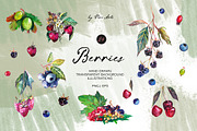 Berries clip art png, an Object Graphic by Vero Arts (Thumbnail 1 of 7)