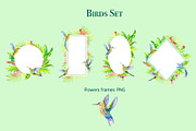 Hummingbirds. Tropical birds., an Illustration by lilisavelieva (Thumbnail 4 of 4)