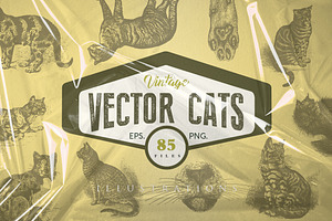 Cats Vector Set