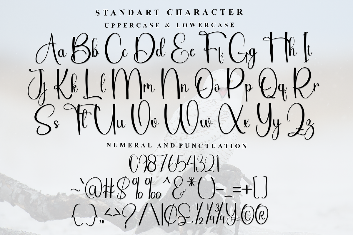 House Daddy, a Handwritten Font by InermediaSTUDIO (Photo 2 of 8)