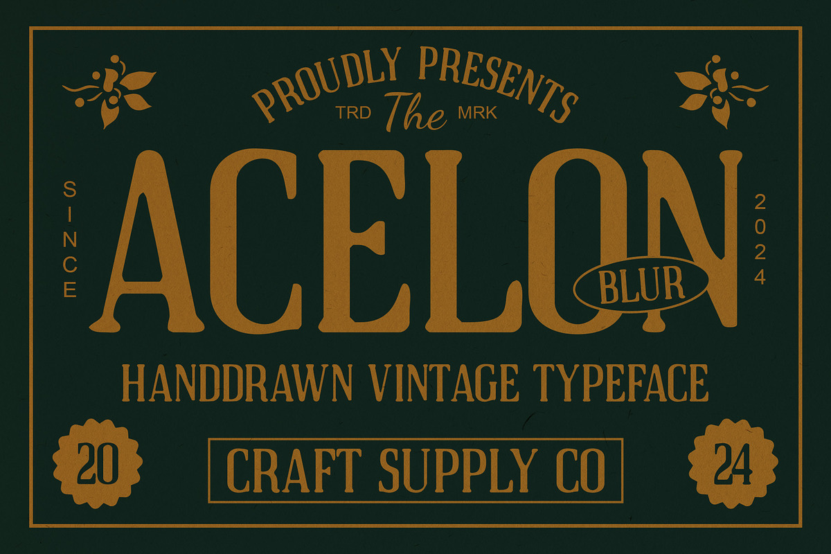 Acelon Blur, a Serif Font by Craft Supply Co. (Photo 1 of 8)
