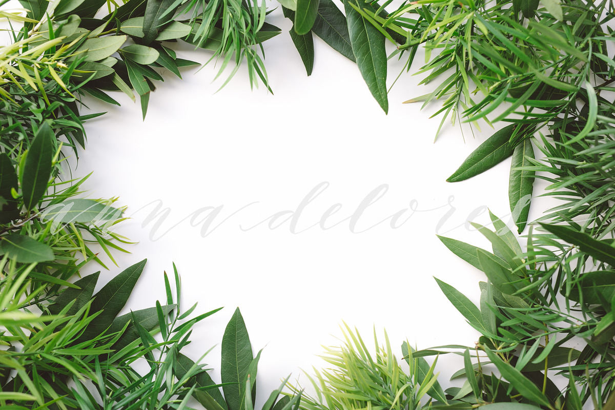 Styled Stock Photo, Green Wreath, a Product Mockup by Anna Delores