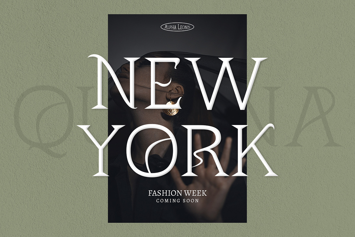 Quiana Serif, a Serif Font by Alphaleonis_std (Photo 2 of 9)