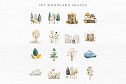 Woodland Animal Clipart, an Animal Illustration by EllyandLima (Thumbnail 6 of 10)