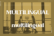 Adenium, a Serif Font by inumocca_type (Thumbnail 8 of 11)