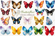 Floral Butterfly Clipart Summer PNG, an Animal Illustration by SugarCloudStudioArt (Thumbnail 1 of 8)