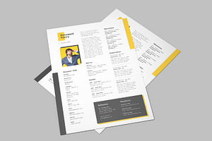 Resume CV Template 11