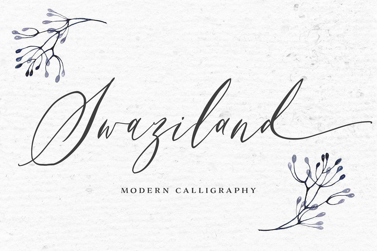 Swaziland Script 25% OFF, a Script Font by Get Studio (Photo 1 of 11)