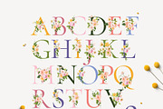 BLOSSOM Spring Watercolor Flowers, a Decorative Illustration by Lana Elanor (Thumbnail 10 of 12)