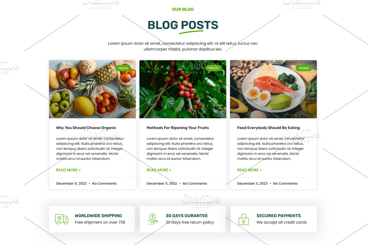 Organic Farm Food Elementor Template, a WordPress Template by HasnainDEV (Photo 6 of 7)