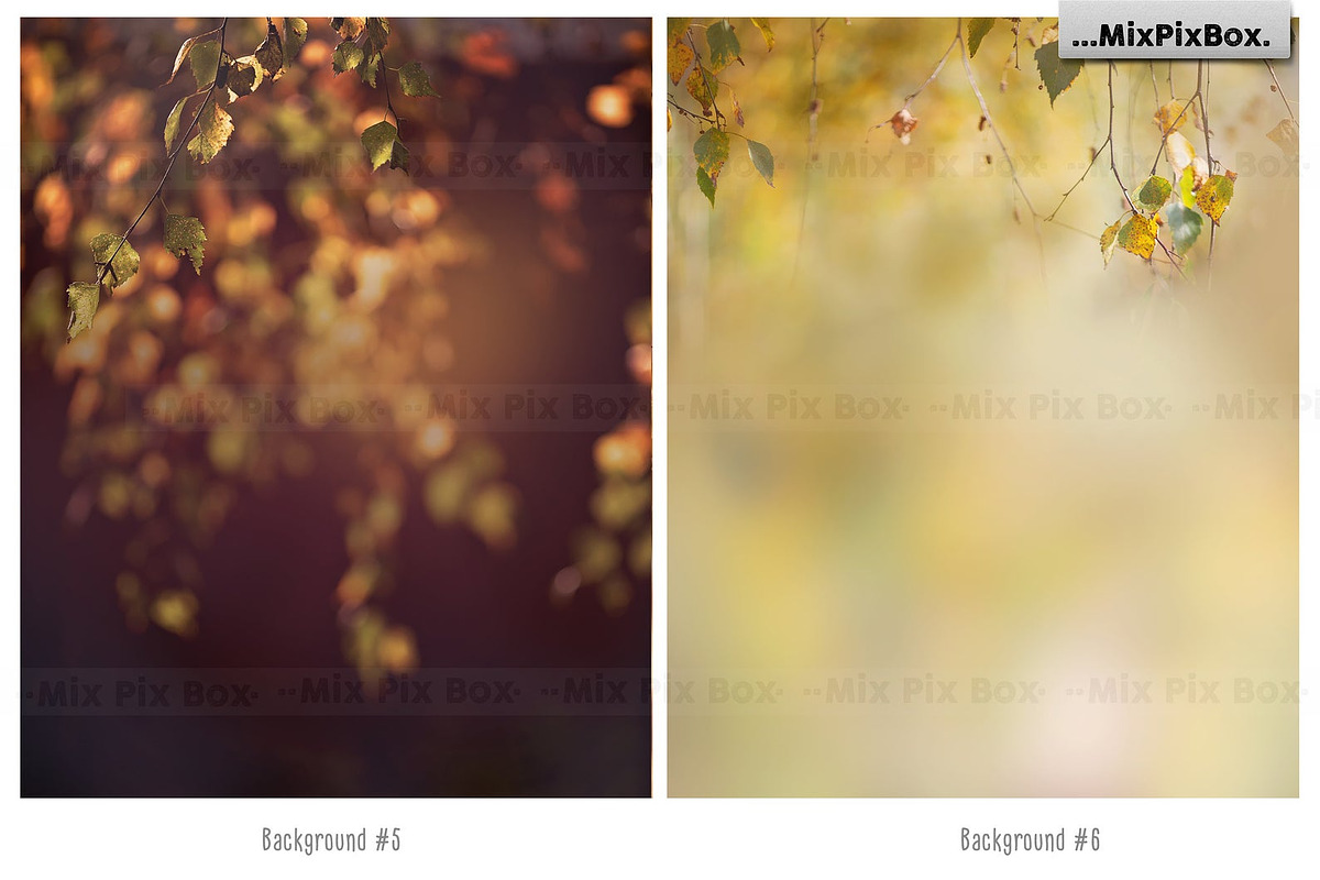 Autumn Portrait Backgrounds, a Background Graphic by MixPixBox (Photo 5 of 8)