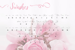 Birdy Roses Script Font Swashes