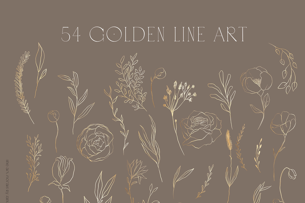 Floral Line Art & Botanical Clipart, an Illustration by January Bloom (Photo 11 of 13)