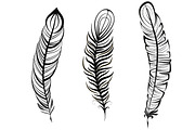 Feathers hand drawn set, a Decorative Illustration by Tierre3012 (Thumbnail 3 of 5)
