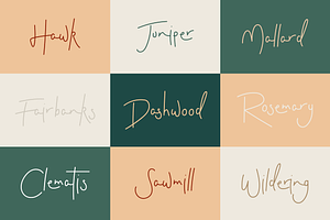 Dashwood Font