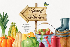 Watercolor harvest collection