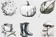Black & White Autumn Clipart, an Illustration by Black Bird Studio (Thumbnail 2 of 6)