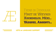 National Champion, a Font by Very Cool Studio (Thumbnail 3 of 4)