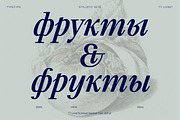 TT Livret, a Serif Font by TypeType (Thumbnail 11 of 15)