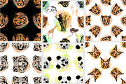 Animal Faces, an Animal Illustration by Ecaterina Sciuchina (Thumbnail 5 of 7)