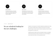 Alleo - Portfolio HTML Template, a HTML Template by gracethemes_st (Thumbnail 4 of 4)