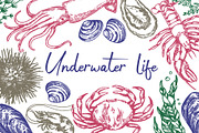 Underwater life. Hand drawn sketch, a Food Illustration by made by Tanya (Thumbnail 1 of 4)