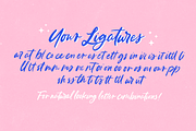 Pink Lemonade Brush Font, a Script Font by Nicky Laatz (Thumbnail 12 of 12)