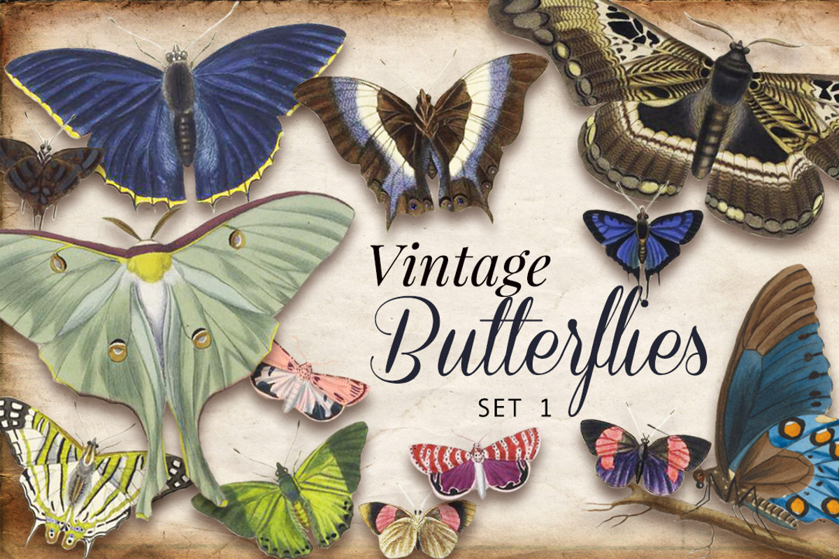 Vintage Butterflies Set 1, a Graphic by Digital Vintage