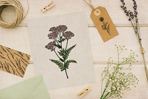 Healing Herbs Botanical Bundle