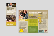 Animal Shelter Brochure Template, a Brochure Template by StockLayouts (Thumbnail 4 of 4)