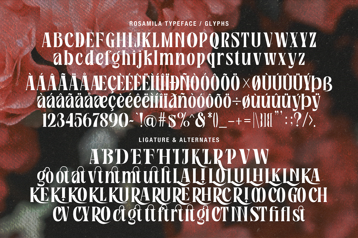 Rosamila Display, a Serif Font by Stripes Studio (Photo 11 of 11)