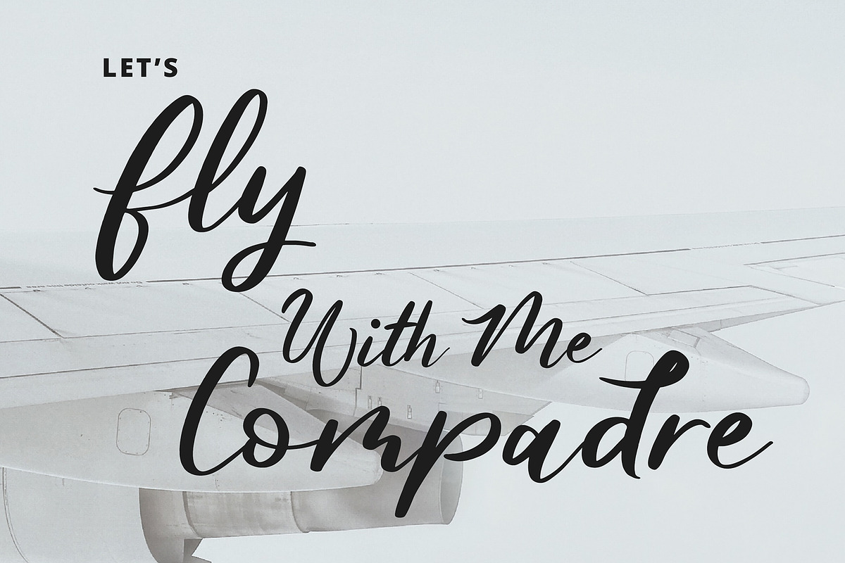 Butterfly Modern Script Font preview 5