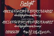 Sunlight - Brush Font Duo, a Script Font by Cruzine (Thumbnail 2 of 8)