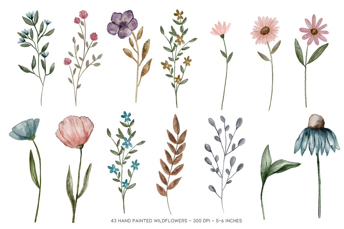 Painted Watercolor Flowers Clipart, a Decorative Illustration by Murphy & Frank (Photo 2 of 8)
