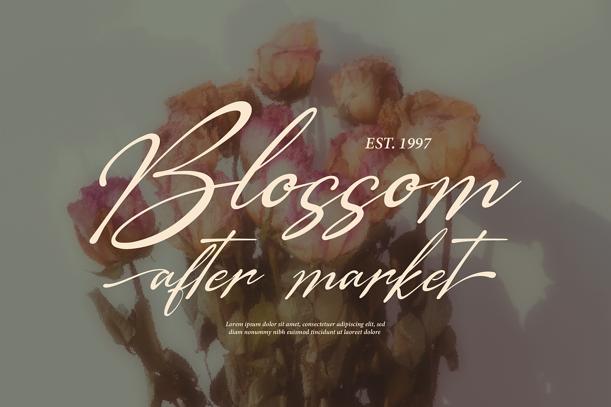 The Morteffis | Modern Calligraphphy, a Script Font by Denustudios (Photo 6 of 15)