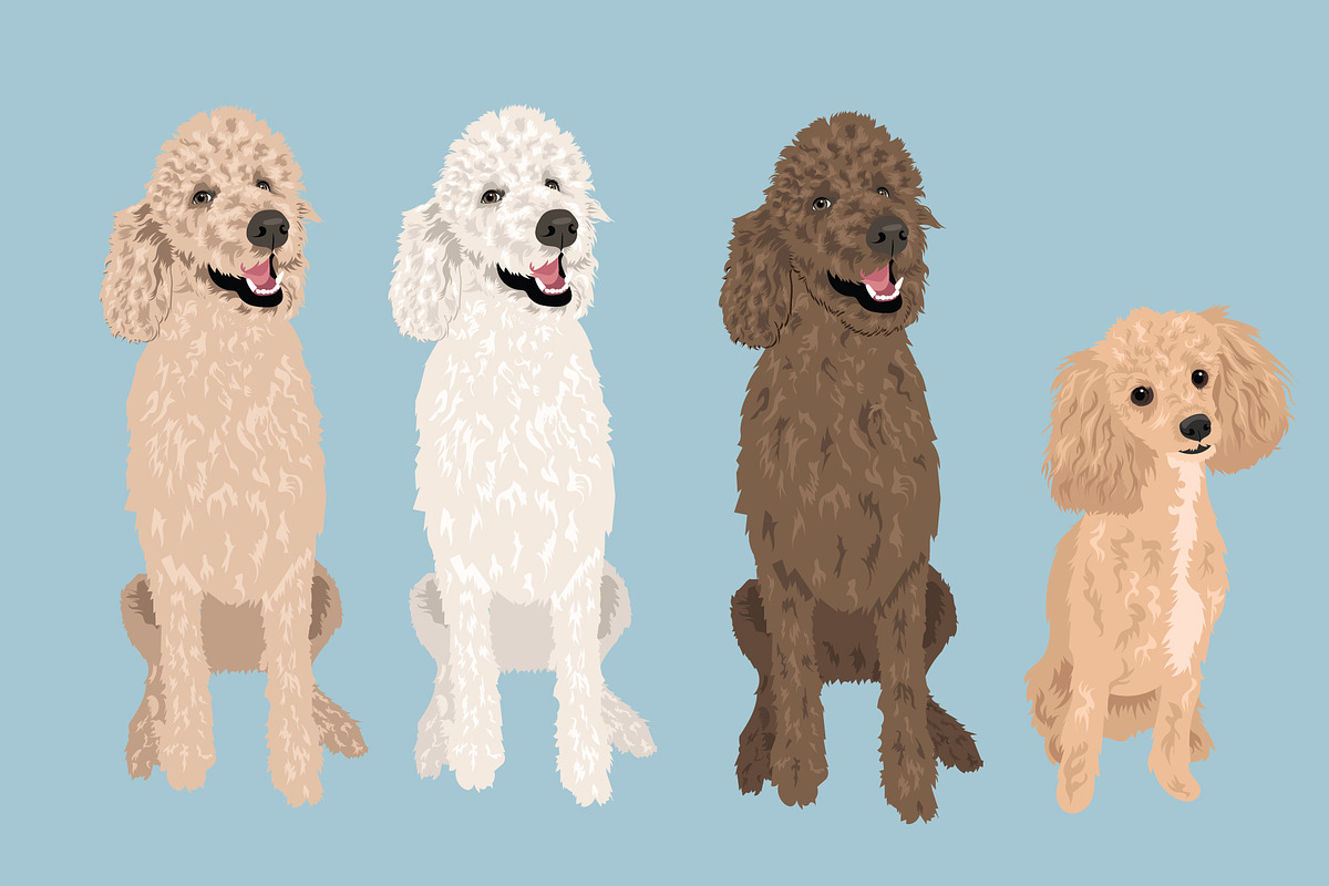 Poodle Clip Art Vector Bundle, an Illustration by Putnam Road Art (Photo 2 of 4)