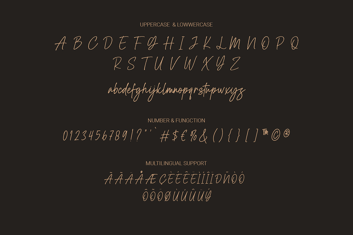 Arsana Citra - Modern Script Font, a Script Font by RHD Creative Studio (Photo 11 of 12)