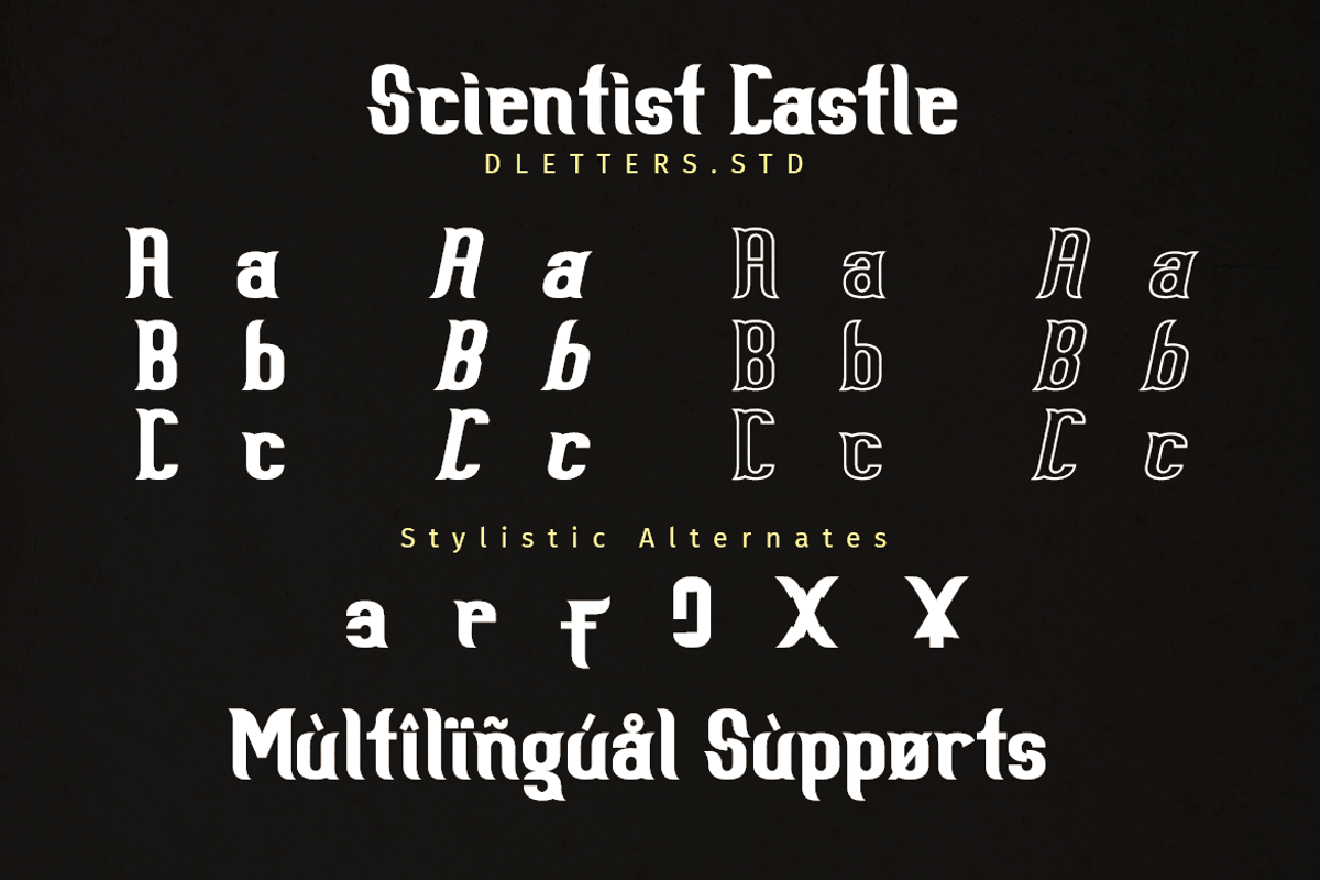 Scientist Castle - Family Slab Serif, a Slab Serif Font by DiosiArt (Photo 7 of 11)