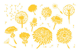 Dandelions: Set Patterns