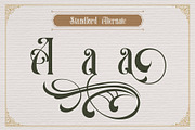 Standlord, a Serif Font by Burntilldead (Thumbnail 8 of 10)