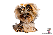 Cute Dog Clipart PNG Bundle, an Illustration by Sleepy Aster (Thumbnail 7 of 10)